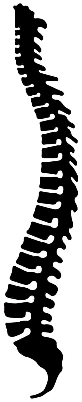 Spine clipart silhouette, Spine silhouette Transparent FREE for download on WebStockReview 2024