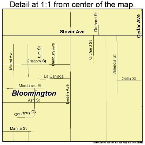 Bloomington California Street Map 0607064