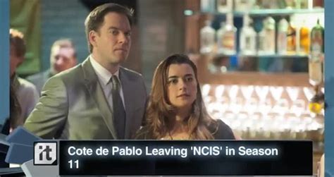 Cote de Pablo Leaving NCIS in Season 11 - Videos - Metatube