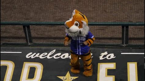 Voorhees College mascot does the Cupid Shuffle - YouTube