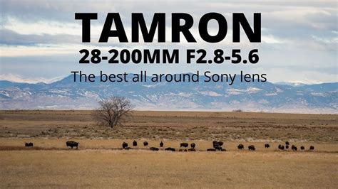 Tamron 28 200mm | Long Term Review - YouTube