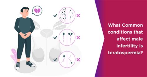 Teratospermia Meaning and its Symptoms | Nova IVF Fertility