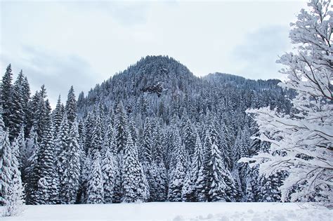 Photographing Oregon: Snow in the Cascades