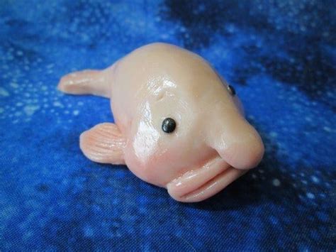 Hein? 10+ Vérités sur Baby Blobfish In Water! How a blobfish looks with ...