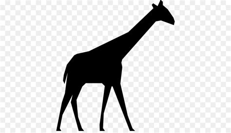 Free Baby Giraffe Silhouette, Download Free Baby Giraffe Silhouette png images, Free ClipArts on ...