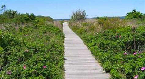 Sandy Point Beach | Portsmouth, RI | Discover Newport