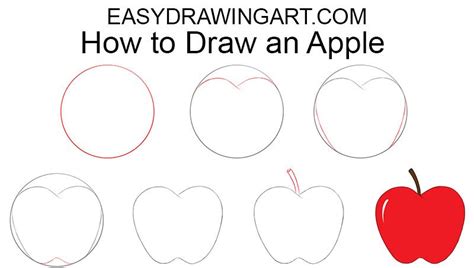 How to Draw an Apple Easy | Drawing apple, Apple sketch, Apple picture