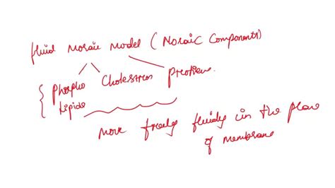 SOLVED: According to the fluid mosaic model, membrane is composed of ...