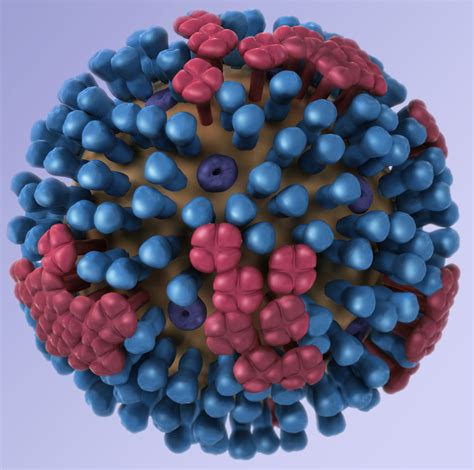 Llama “nanobodies” might grant universal flu protection | Ars Technica