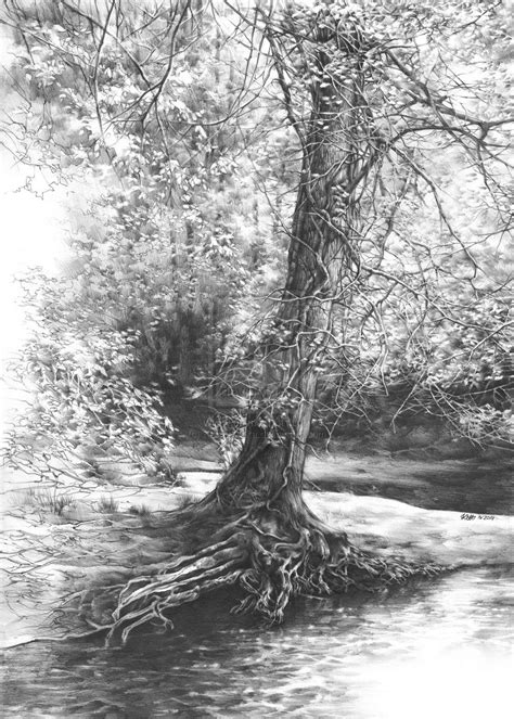 Fairytale tree by Kasiarzynka.deviantart.com on @deviantART Pencil Drawings Of Nature, Landscape ...