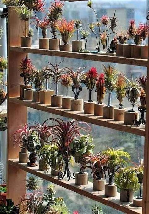 100 Beautiful DIY Pots And Container Gardening Ideas (4) | Plants, Plant display ideas, Air ...