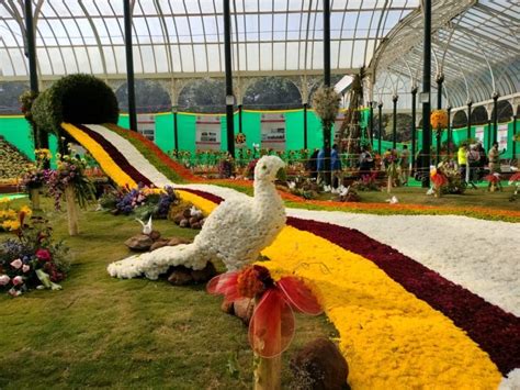 Rediscovering Lalbagh at Bengaluru's spectacular flower show