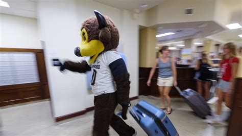 CU Boulder move-in begins, kicking off fall 2023 term | 9news.com