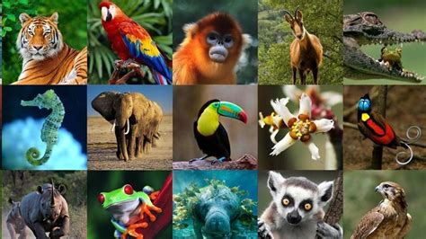 Día Mundial de los Animales: ¿Qué puedes hacer para protegerlos? | Dia mundial del animal ...