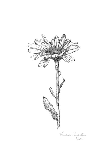 Daisy Flower Drawing Tattoo