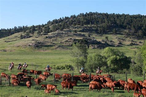 Our Ranches – Wyoming Authentic