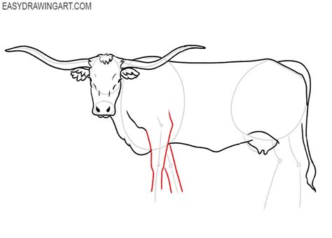 How to Draw a Longhorn - Easy Drawing Art