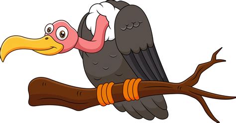 Vector cartoon vulture on a branch 6788446 Vector Art at Vecteezy