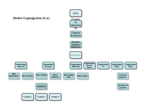 Organigrama Unei Firme De Productie