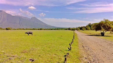 Baluran National Park Top Activities & Entrance Fee - IdeTrips