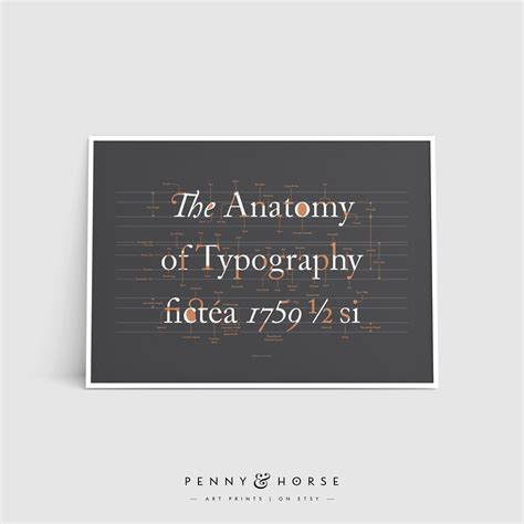 The Anatomy of Typography Poster, Font Design, Typography Terms, Type Poster, Lettering Style ...