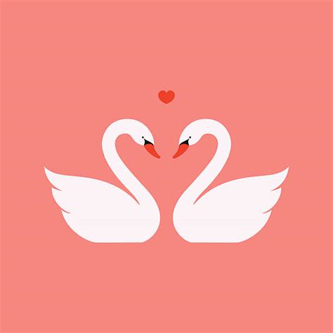 Swan Heart Drawing | Free download on ClipArtMag