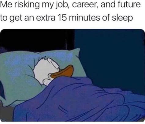 35 Hilarious Memes That Prove We Deserve to Nap in the Office ...