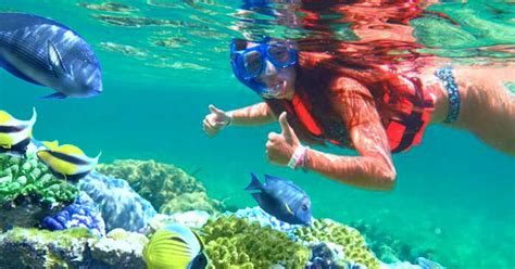 Puerto Morelos Snorkeling Tour