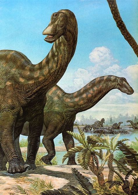 Dicraeosaurus Dinosaur Images, Dinosaur Pictures, Dinosaur Art ...