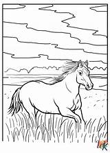 28 Horse Coloring Pages For Kids A Fun And Educational sketch template