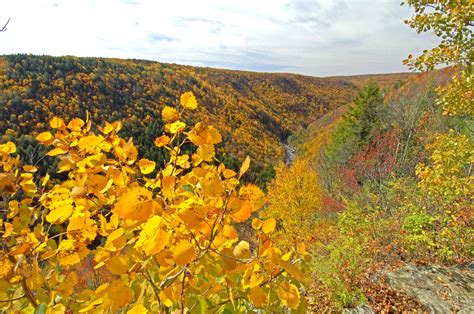 West Virginia Fall Foliage Reports Start Sept. 25, 2014