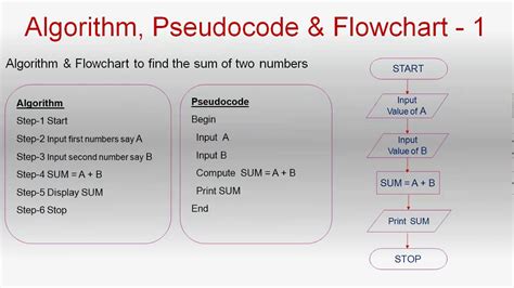 Pseudocode Algorithm Examples