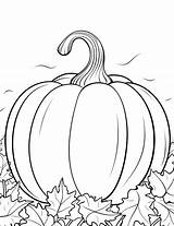 25 Pumpkin Coloring Pages Printable Sheets For Kids sketch template