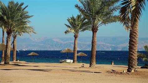 Palms On Beautiful Beach Tropical Resort In Stock Footage SBV-313838074 - Storyblocks