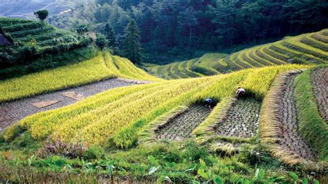 6 surreal landscapes to explore in China | Intrepid Travel Blog