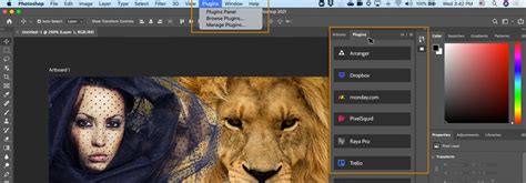 Plugin Marketplace for Photoshop