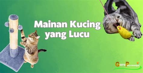 Rekomendasi Mainan Kucing yang Lucu dan Disukai Kucing - Guru Penyemangat