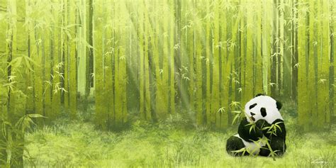 Bamboo Forest by Zarory.deviantart.com on @DeviantArt (With images ...