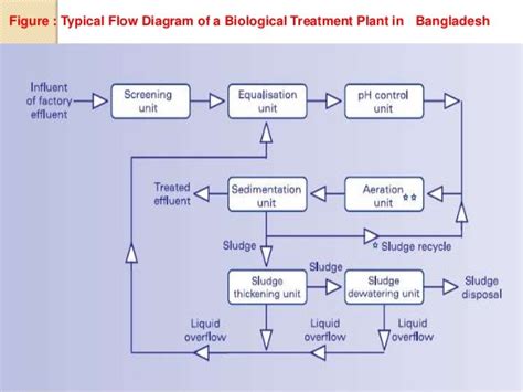 Biological ETP