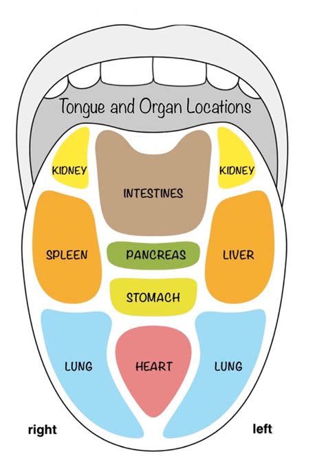 Ayurvedic Tongue Analysis