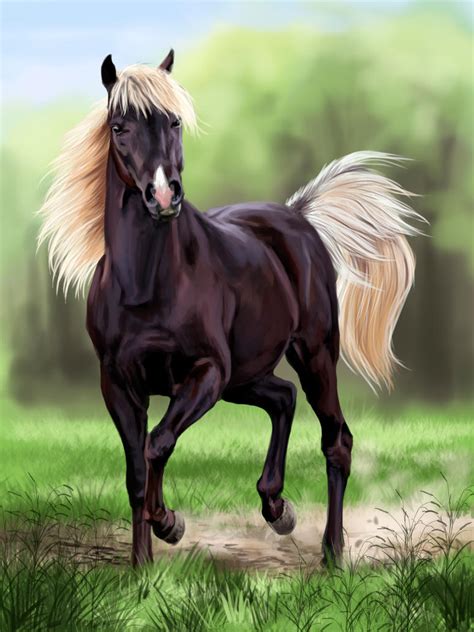 Horse #7 by Azany on DeviantArt