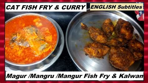 CAT FISH / Magur /Mangru / Mangur fish Fry & Curry | Marathi Recipe | ENGLISH Subtitles - YouTube