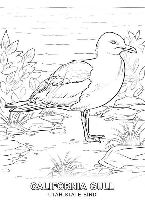 State of Utah Bird coloring page - Download, Print or Color Online for Free