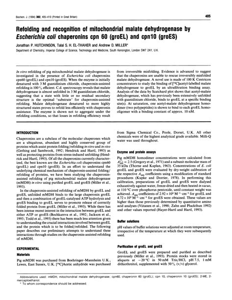 (PDF) Refolding and recognition of mitochondrial malate dehydrogenase by Escherichia coli ...