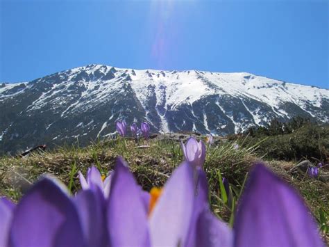 Pirin Mountains | Pirin National Park www.parkhotelpirin.com