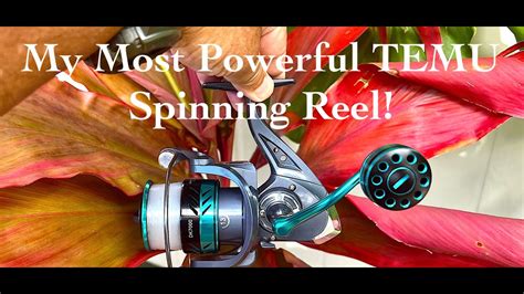 My Most POWERFUL Temu DK Spinning Reel! - YouTube