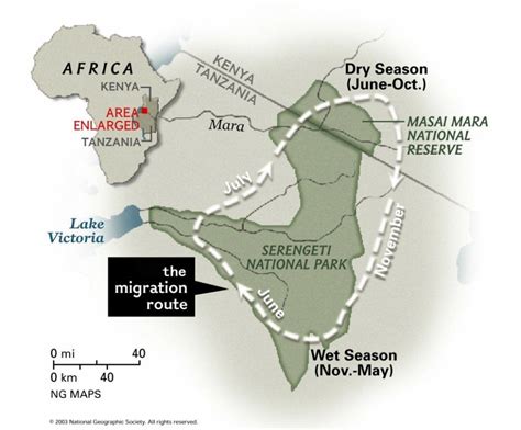 Travelling Africa - Mapping the great Migration! | The great migration, Africa travel, Africa map