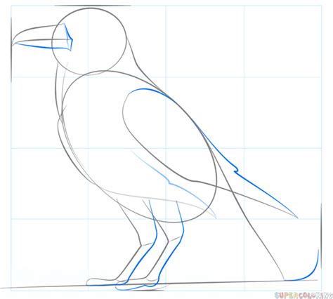 How To Draw A Raven Step By Step at Drawing Tutorials