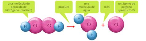 Reacciones químicas | Portal Académico del CCH