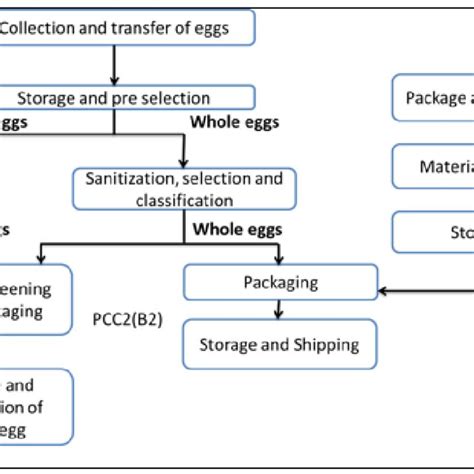 Flow Chart of egg production system | Download Scientific Diagram